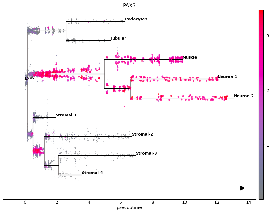 ../_images/notebooks_kidney_featureplot_10_0.png