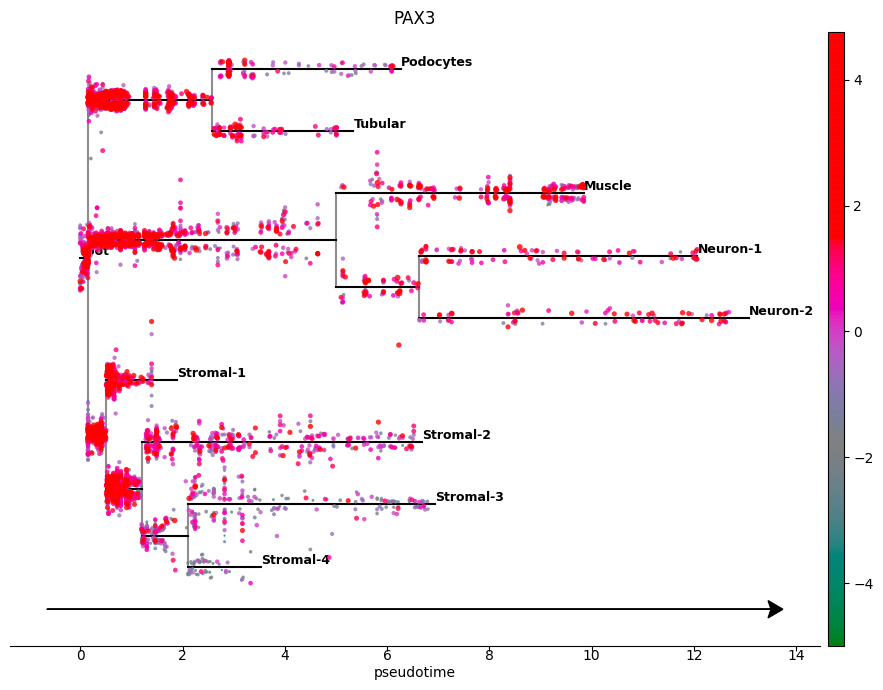 ../_images/notebooks_kidney_featureplot_6_0.png